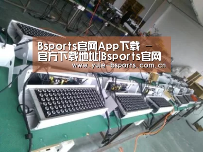 Bsports官网App下载案例展示一
