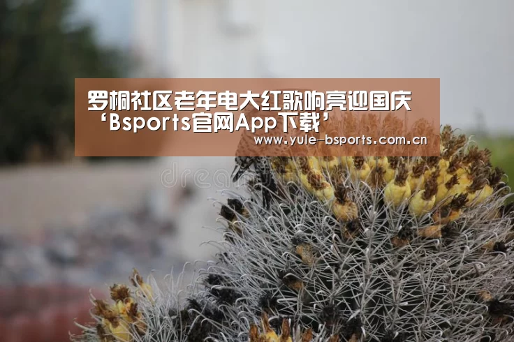 罗桐社区老年电大红歌响亮迎国庆‘Bsports官网App下载’(图3) bsports下载