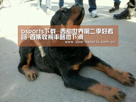 bsports下载-西部世界第二季好看吗 首集收视率略微下滑(图1) b体育官网下载