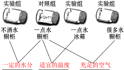 台湾虱目鱼首次“登陆”厦门海沧|b体育官网下载(图3) b体育官网下载