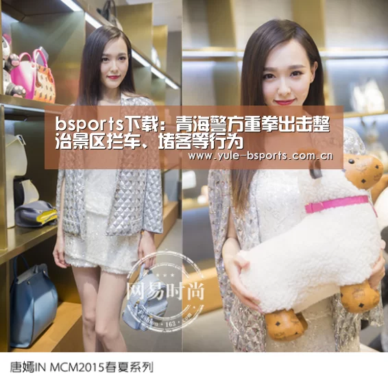 bsports下载